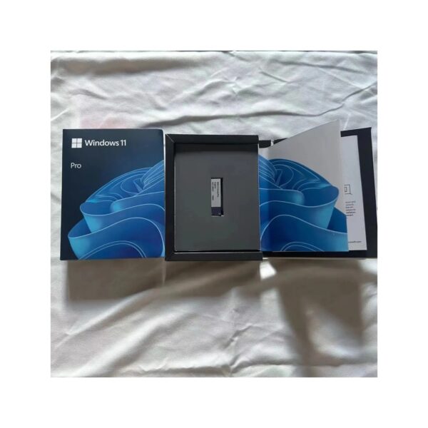 Windows 11 Pro x64 - Image 3