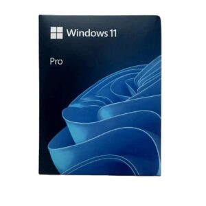 Windows 11 Pro x64